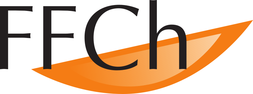 FFCh-Workshop für Selbstständige